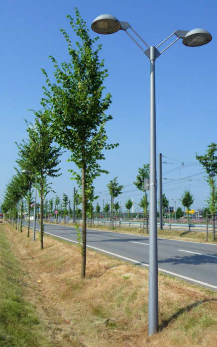 GFK Lichtmasten und Laternenmasten an Bundesstrasse GFK-Lichtmasten-und-Laternenmasten-an-BundesstrassecHFfG1uHqSV0L